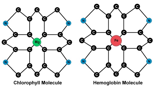 what disease is too much hemoglobin measurement